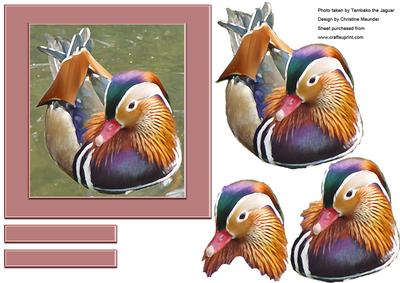 Digital Painting - Mandarin Duck
