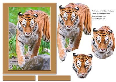 Digital Painting - Siberian Tiger