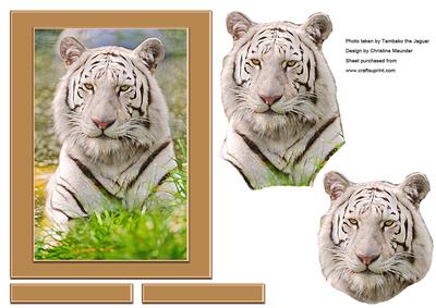 Digital Painting - White Tiger