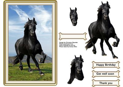 Black Beauty
