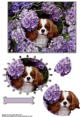 King Charles Cavalier Hiding in the Flowers