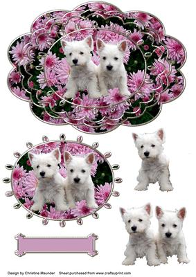 Westie Pups in the Flowers