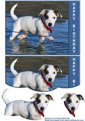 Cute Jack Russell - Envelope Card