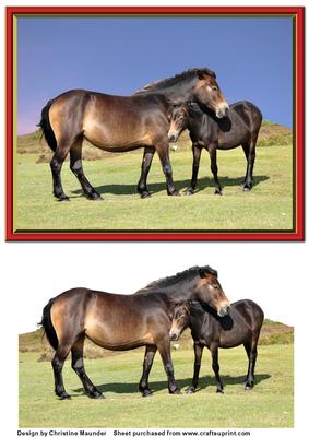 Horses - Mare and Foal