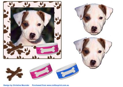 Jack Russel Puppy Portrait