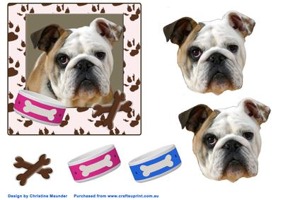 Bulldog Portrait