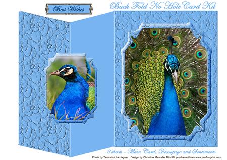 Beautiful Peacock Back Fold No Hole Mini Kit