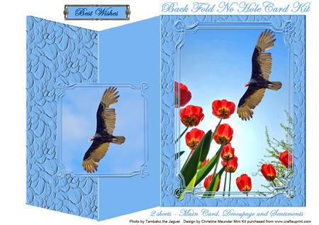 The Beauty of Flight Back Fold No Hole Mini Kit