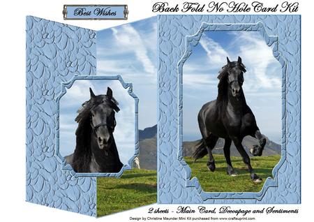 Black Beauty No Hole Back Fold Card