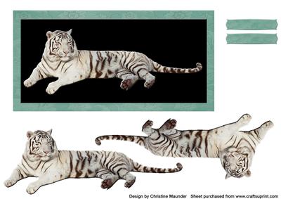 Majestic White Tiger