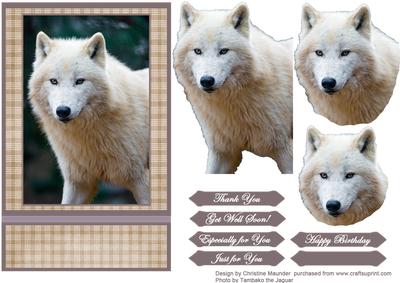 White Polar Wolf