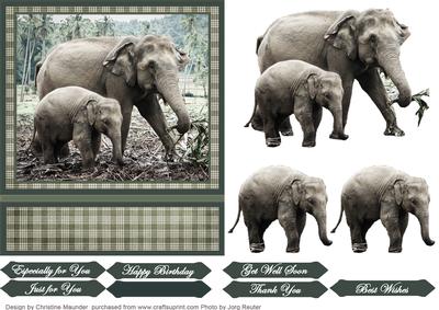Elephant Mum and Calf