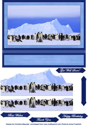 Happy Feet Here We Come