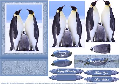 Our Penguin Family