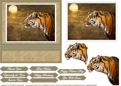 Siberian Tiger Profile