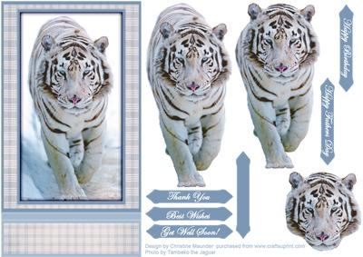 White Tiger on the Prowl