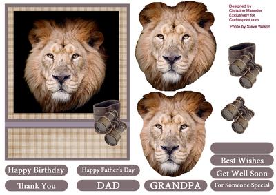 Lion Portrait