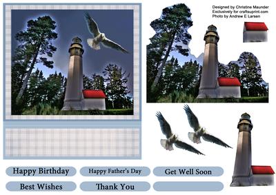 Lighthouse and Seagull