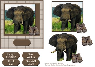 Elephant Safari