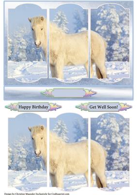 Winter Horse