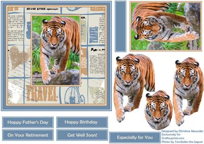 See the World - Siberian Tiger