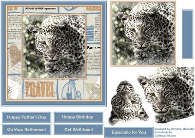 See the World - Leopard on the Prowl