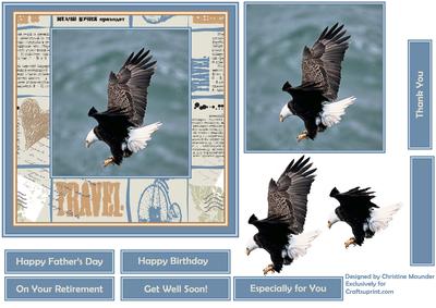 See the World - the Eagle is Landing