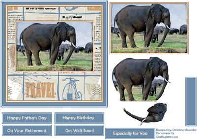See the World - Elephants
