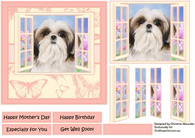 Shih Tzu in the Window
