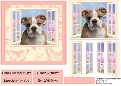 Bulldog Puppy in the Window