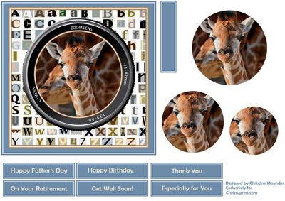 Through the Lens - Baby Giraffe