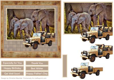Safari Elephants