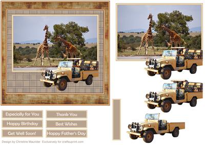 Safari Giraffes