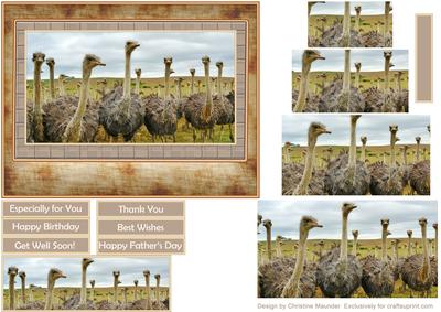 Africa at Its Best - Ostriches with Bookmark