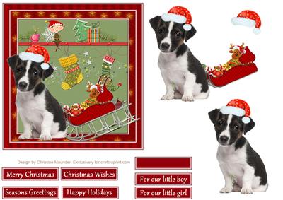 Christmas with Jack Russell Puppy