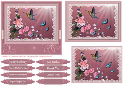 Roses, Hummingbird and Butterflies