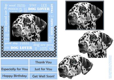Dalmatian Dog Lover