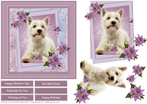 Love my Westie