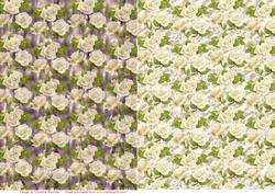 Roses on Satin Backing Sheets