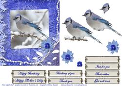 Blue Jay