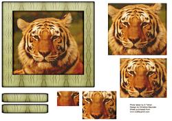 Wild Animal Series - Siberian Tiger