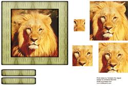 Wild Animals Series - Lion
