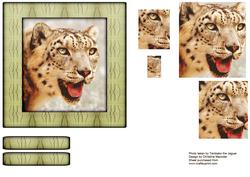 Wild Animals Series - Leopard