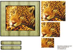 Wild Animal Series - Jaguar