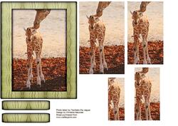 Young Wild Animal Series - Giraffe Calf - First Steps