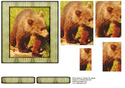Young Wild Animal Series - Brown Bear Cub