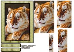 Wild Animal Series - Golden Tiger