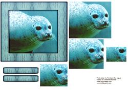 Marine Life Series - Seal