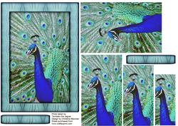 Bird Series - Peacock