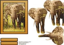Wild Animal Series - Elephant - Decoupage